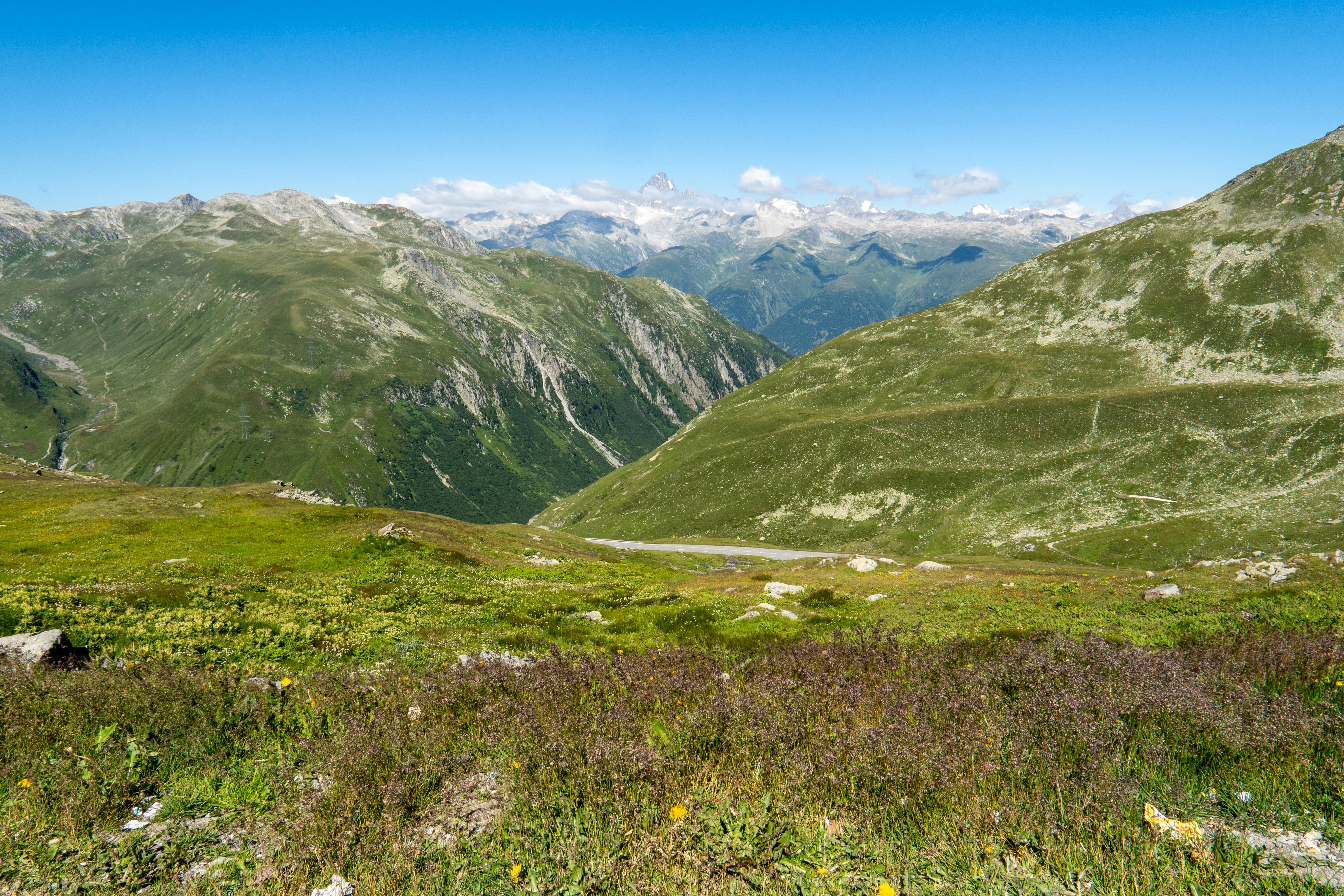 a view of a valley with mountains in the background