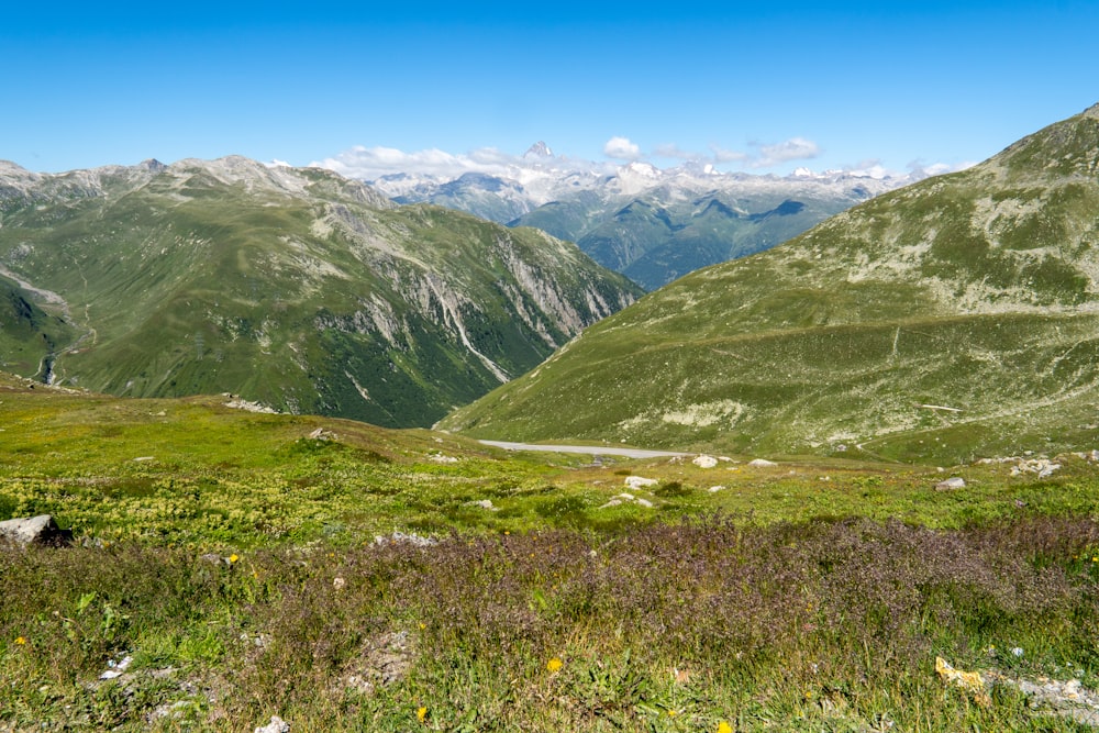 a view of a valley with mountains in the background