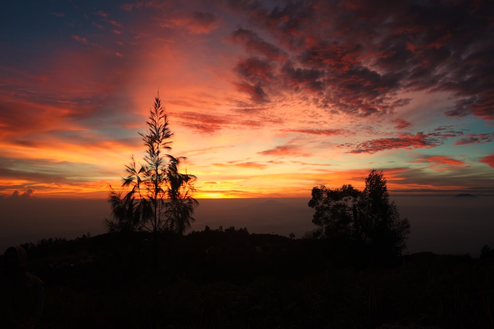 the sun is setting over the mountains and trees