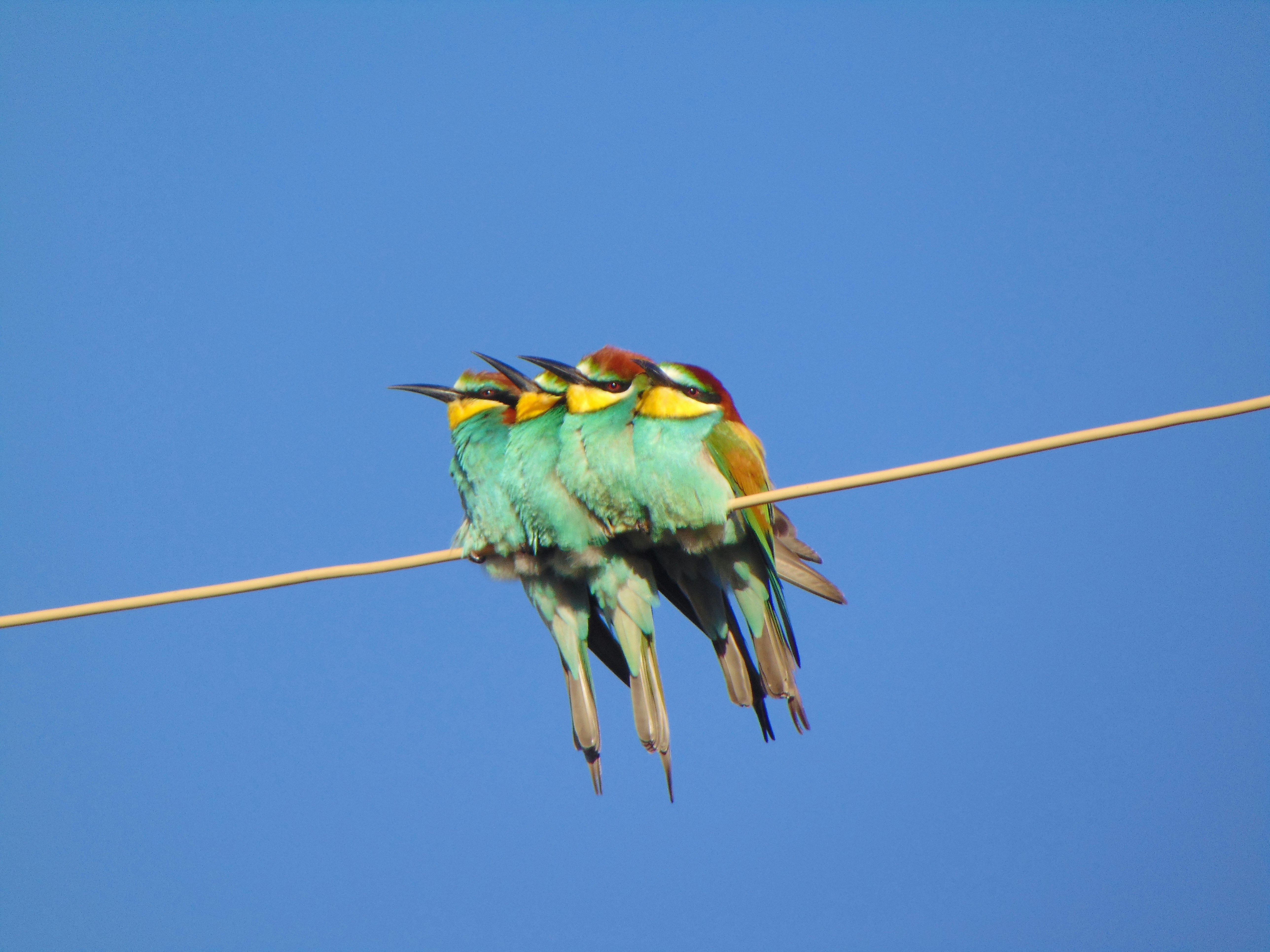 Photo by arakelyanlily