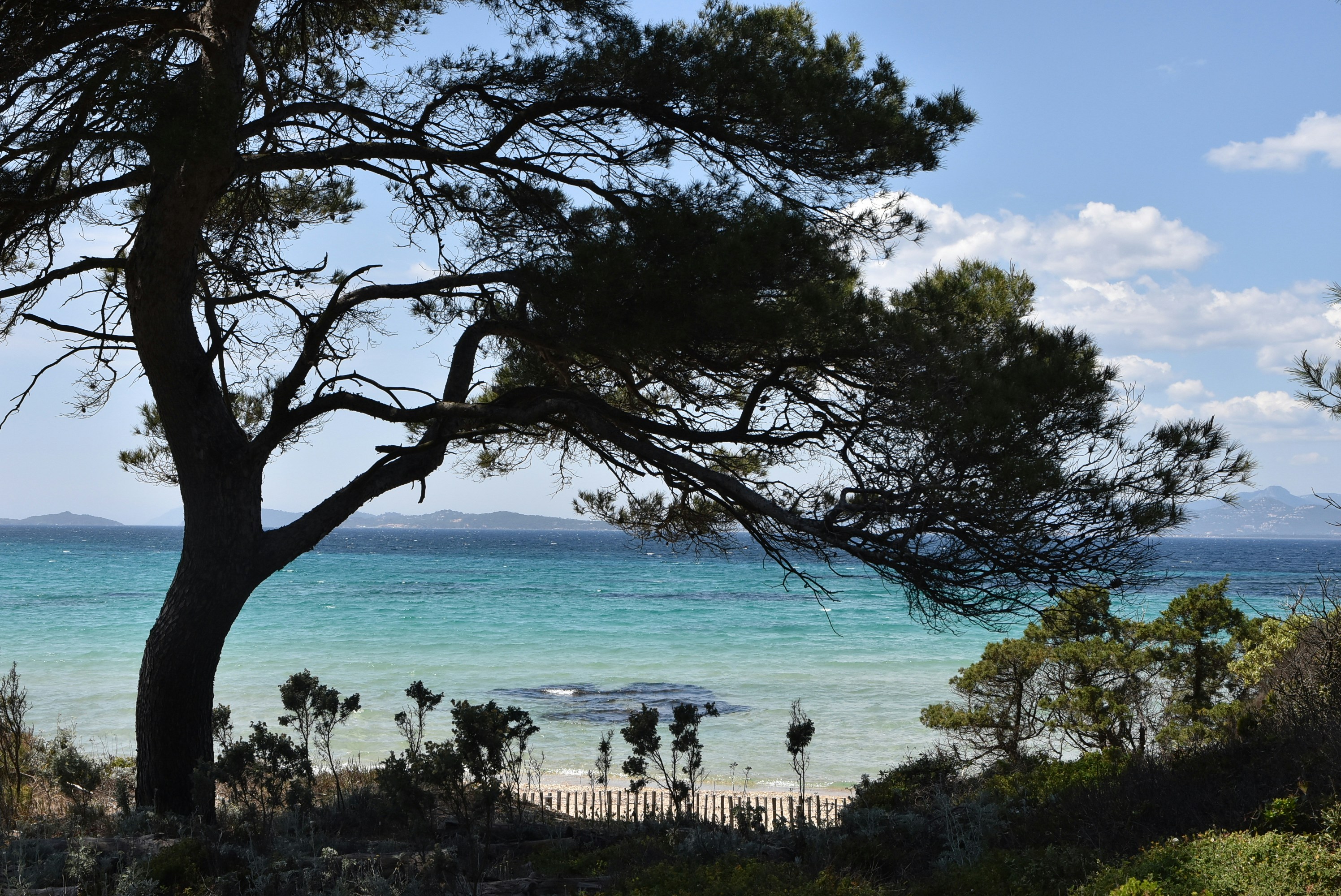 Photo by bertrand1212