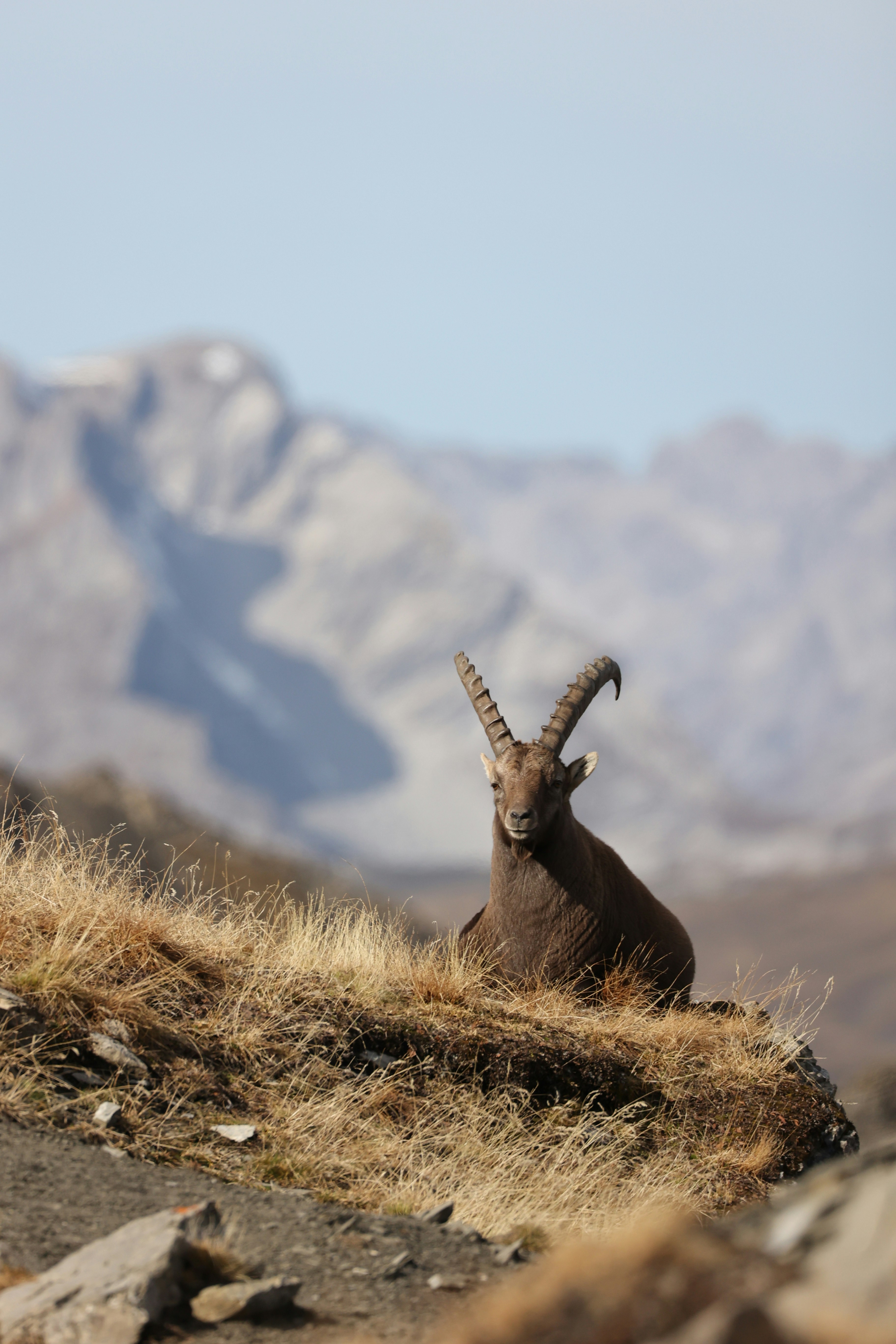 Photo by lukasscheuter