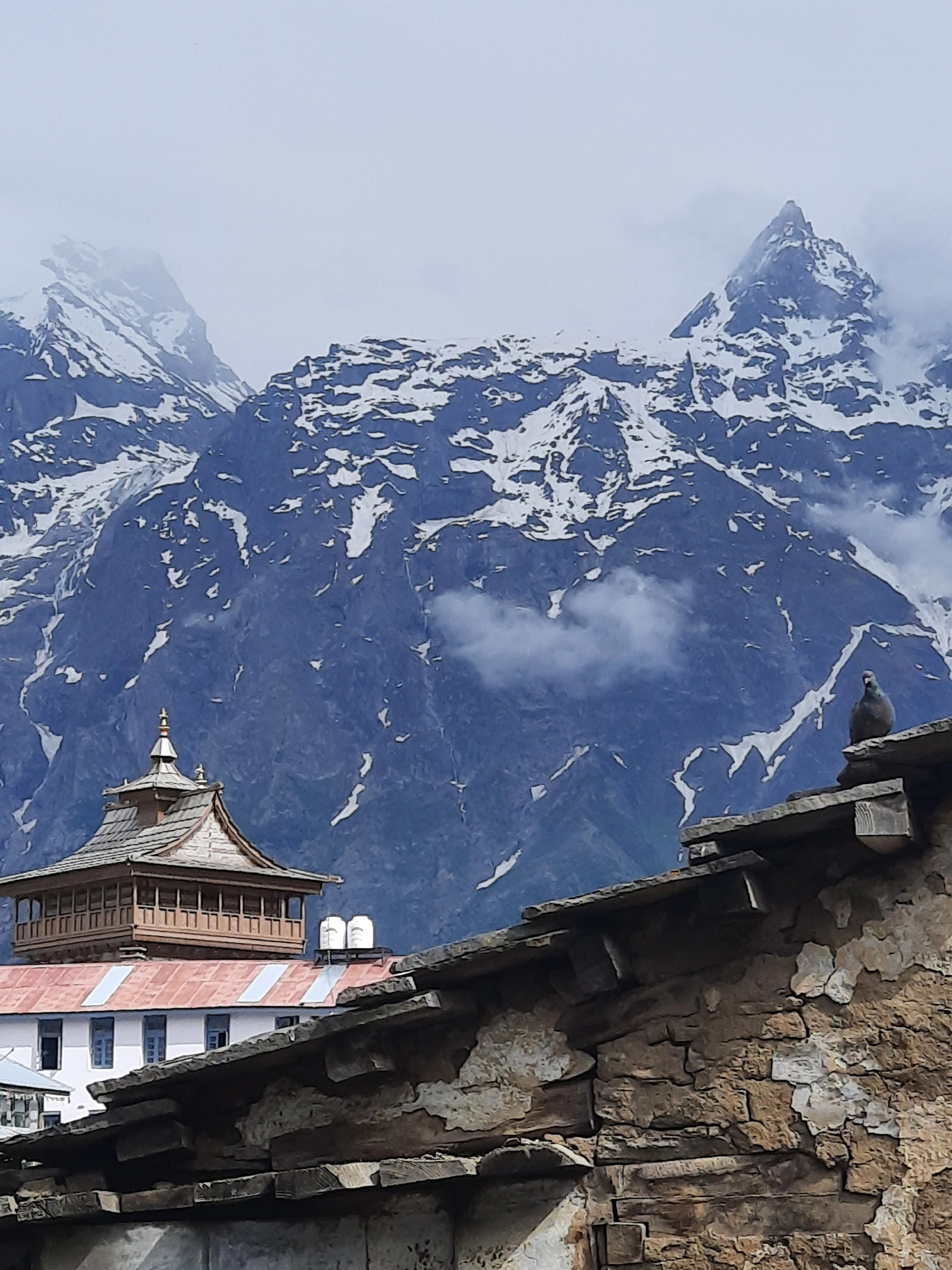 Shimla