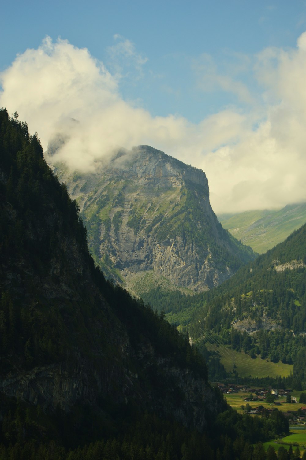 a view of a valley with a mountain in the background