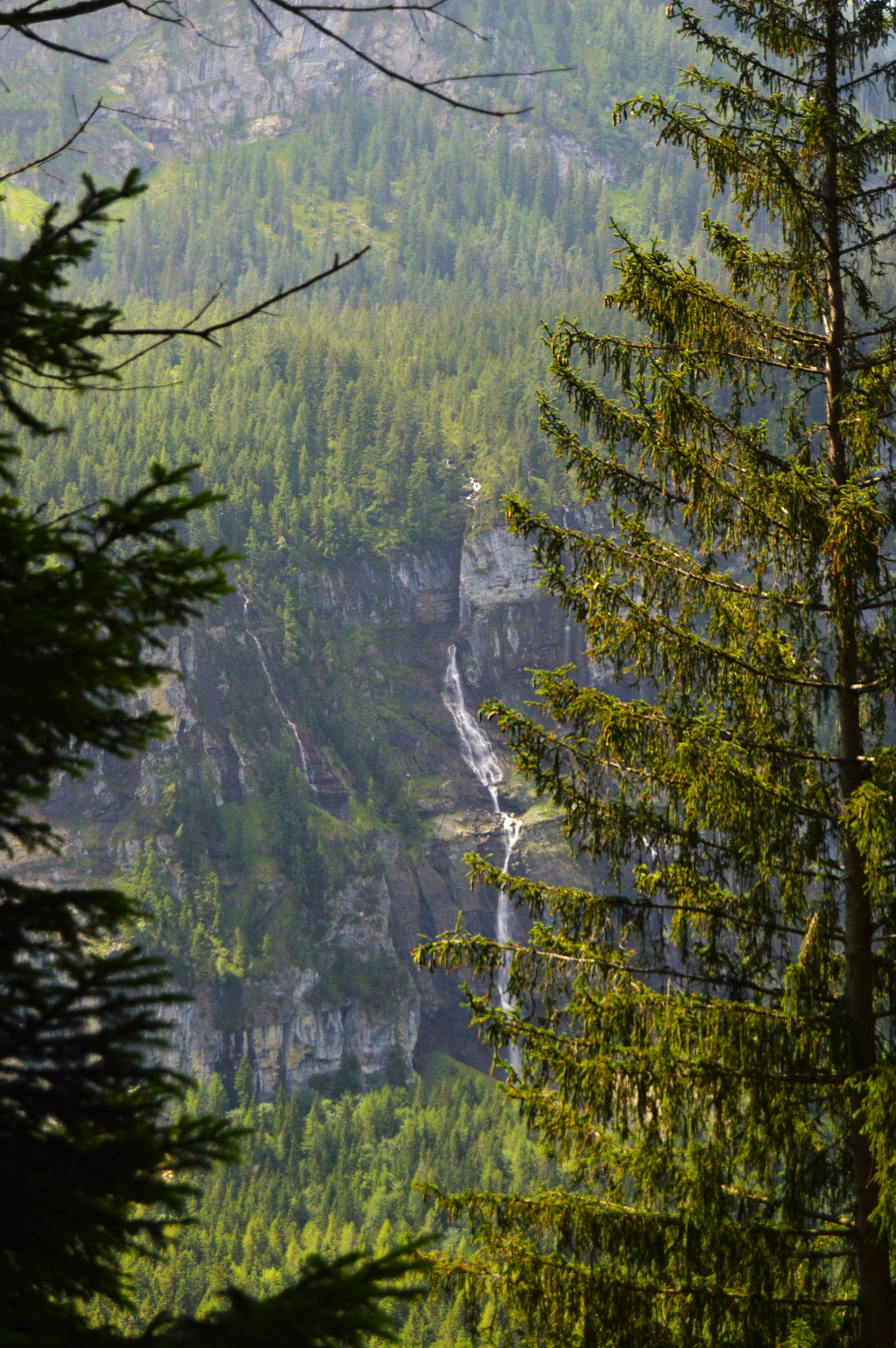 Photo by magnusmandrup