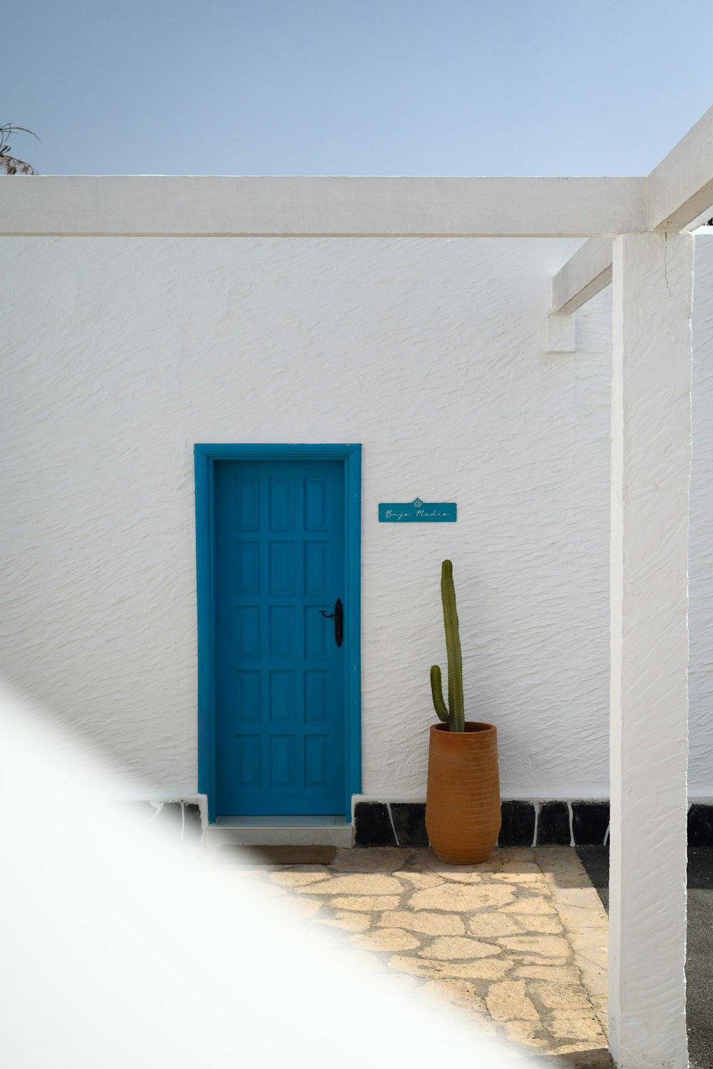 a cactus in a pot next to a blue door