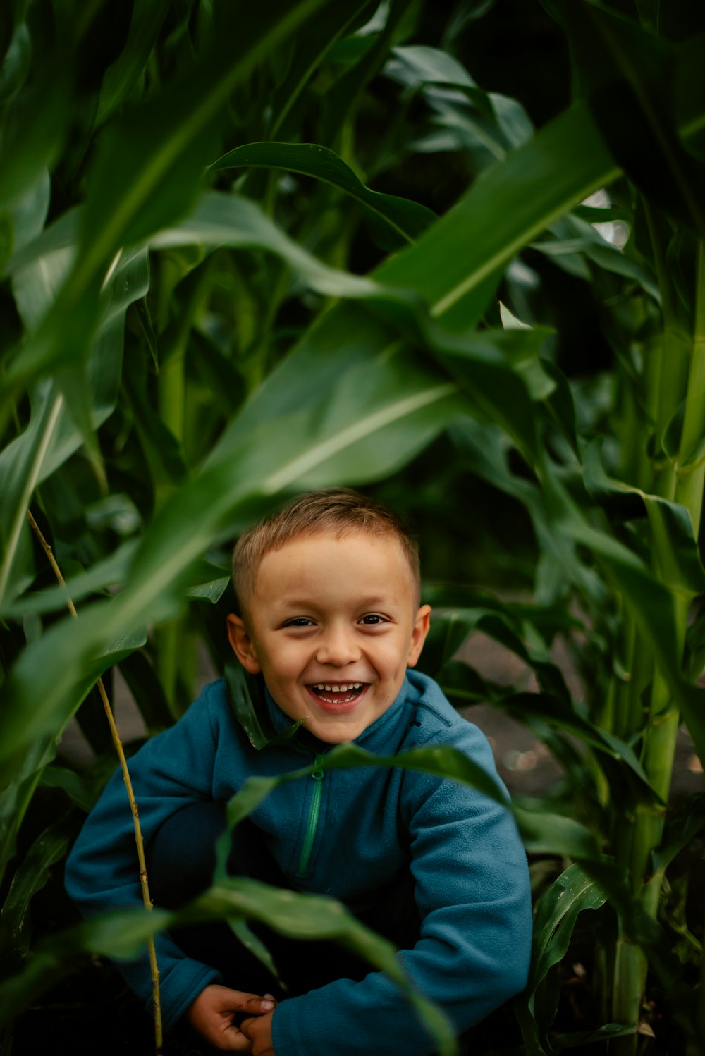 a little boy sitting in the middle of a corn field