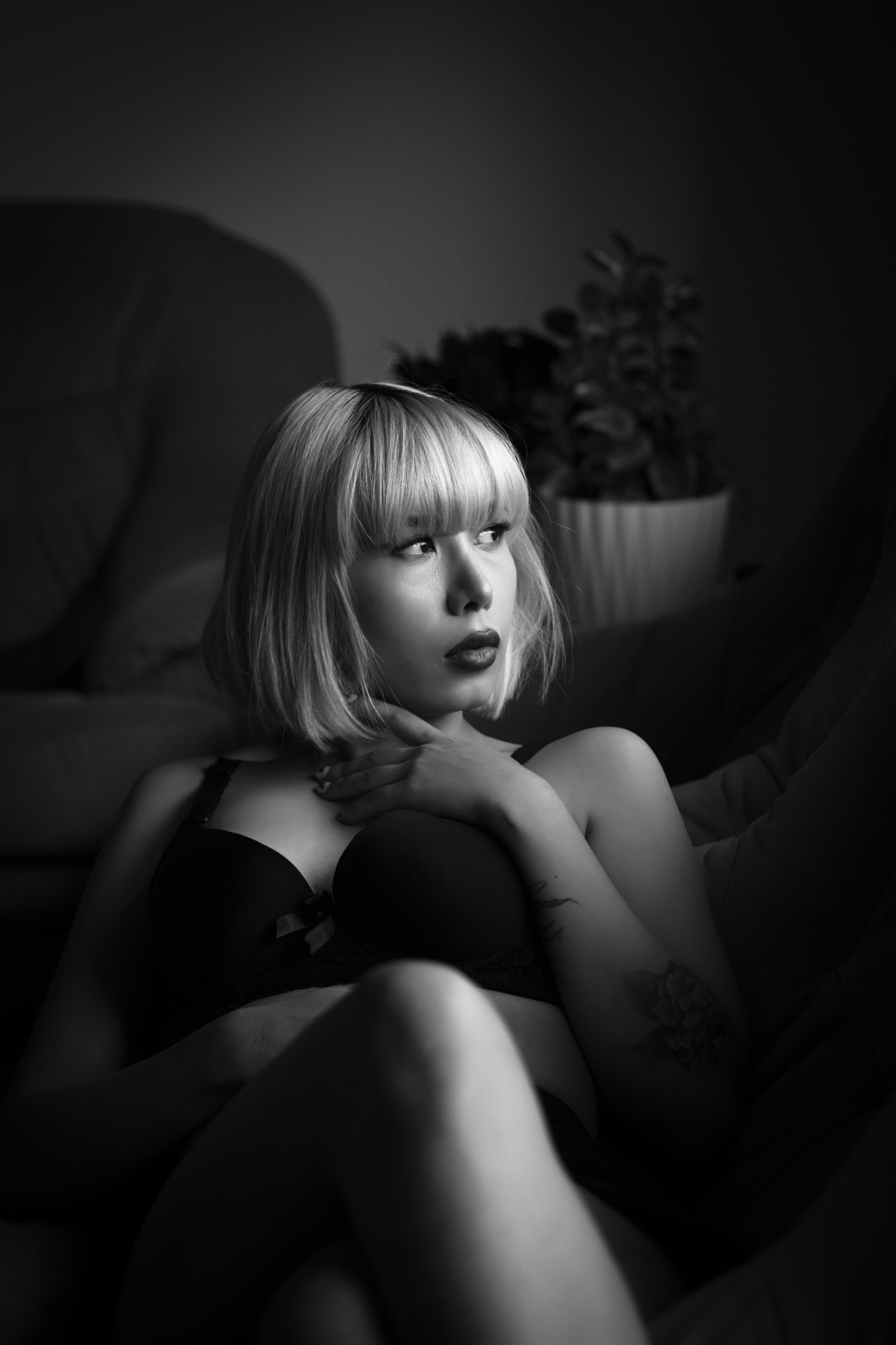 Photo by baranlotfollahi