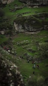 A group of people are walking along a narrow trail through a lush, green landscape dotted with large boulders and patches of moss. The scene appears to be a wooded, hilly area with hints of rocky terrain and scattered vegetation.