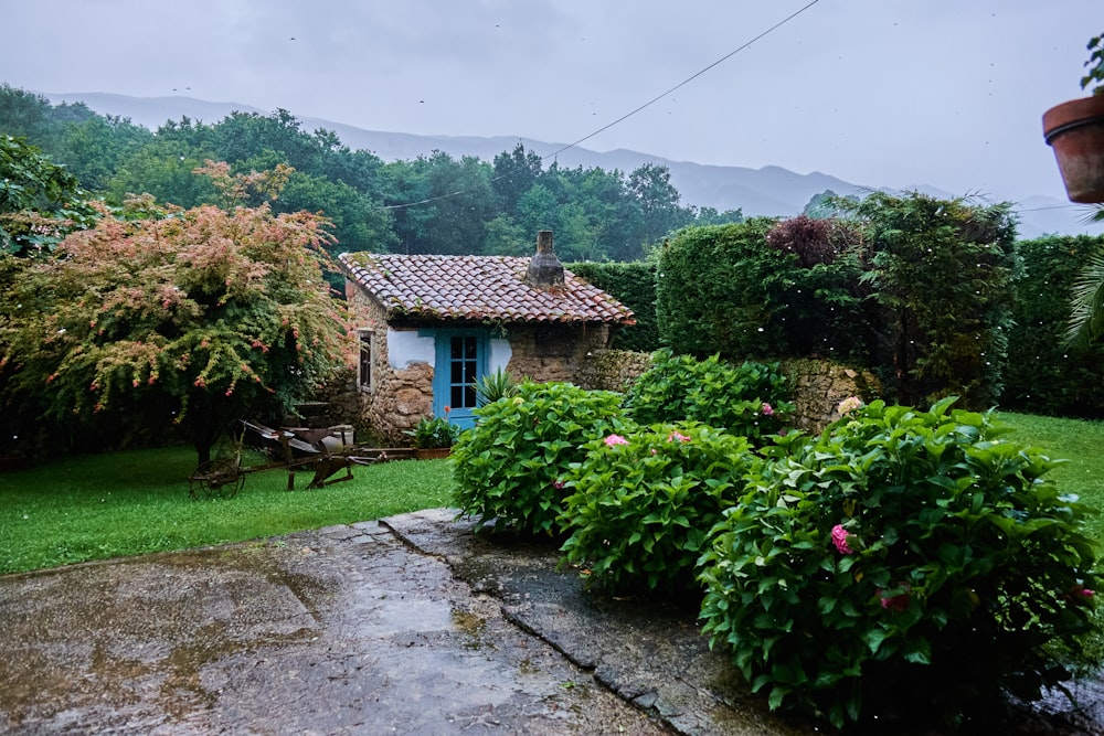 a stone house with a blue door surrounded by greenery