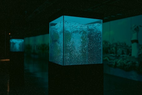 A dimly lit room features several large rectangular tanks filled with water, each mounted on a pedestal. The water is illuminated with a bluish-green light, creating a calming effect. Bubbles appear to be rising in the tanks, suggesting motion or aeration. The background is dark, with echoes of aquatic scenes on the walls, possibly part of a larger installation.