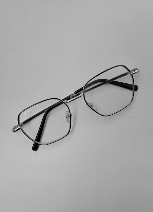 Bottega Veneta BV1121S