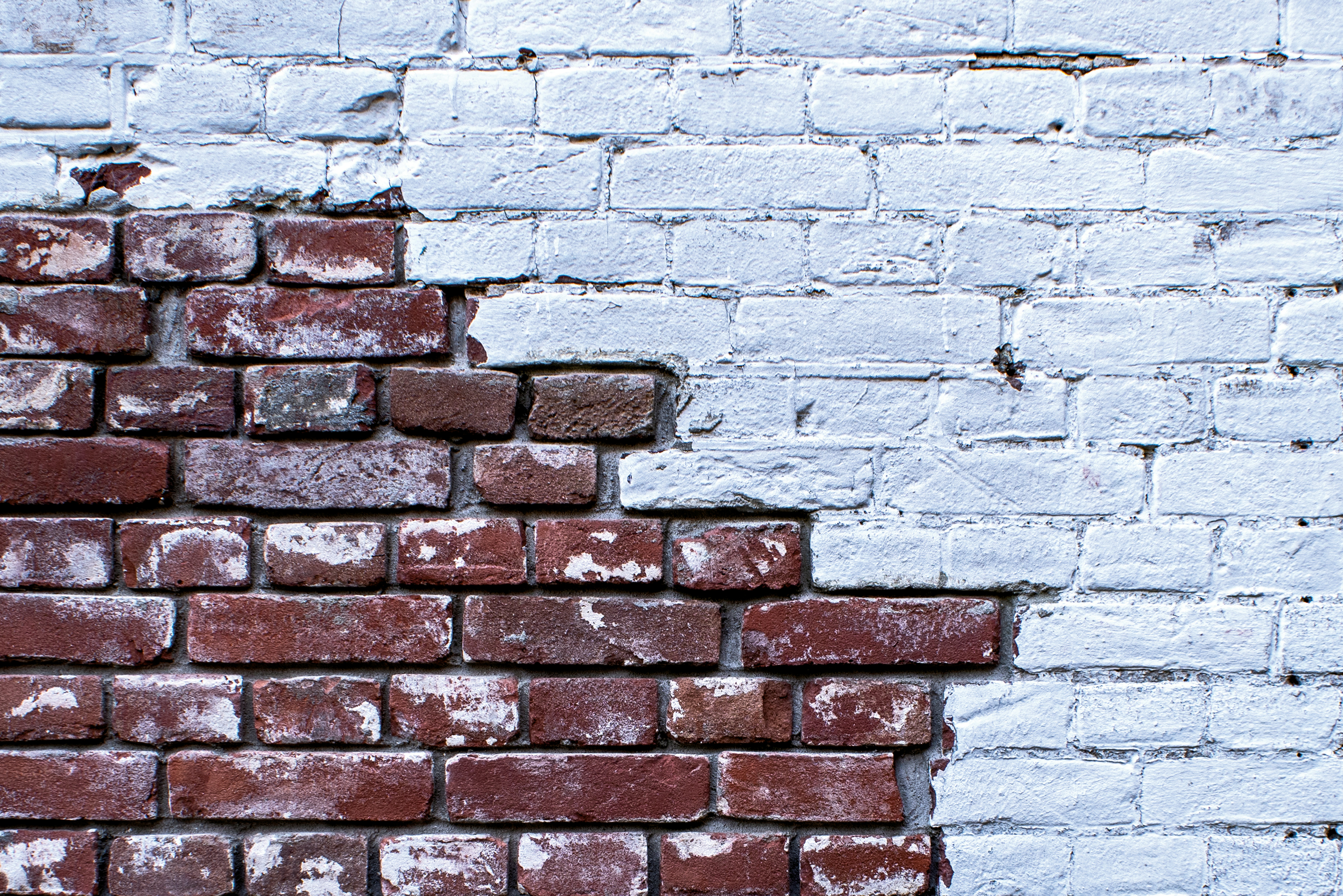 Photo by switch_dtp_fotografie