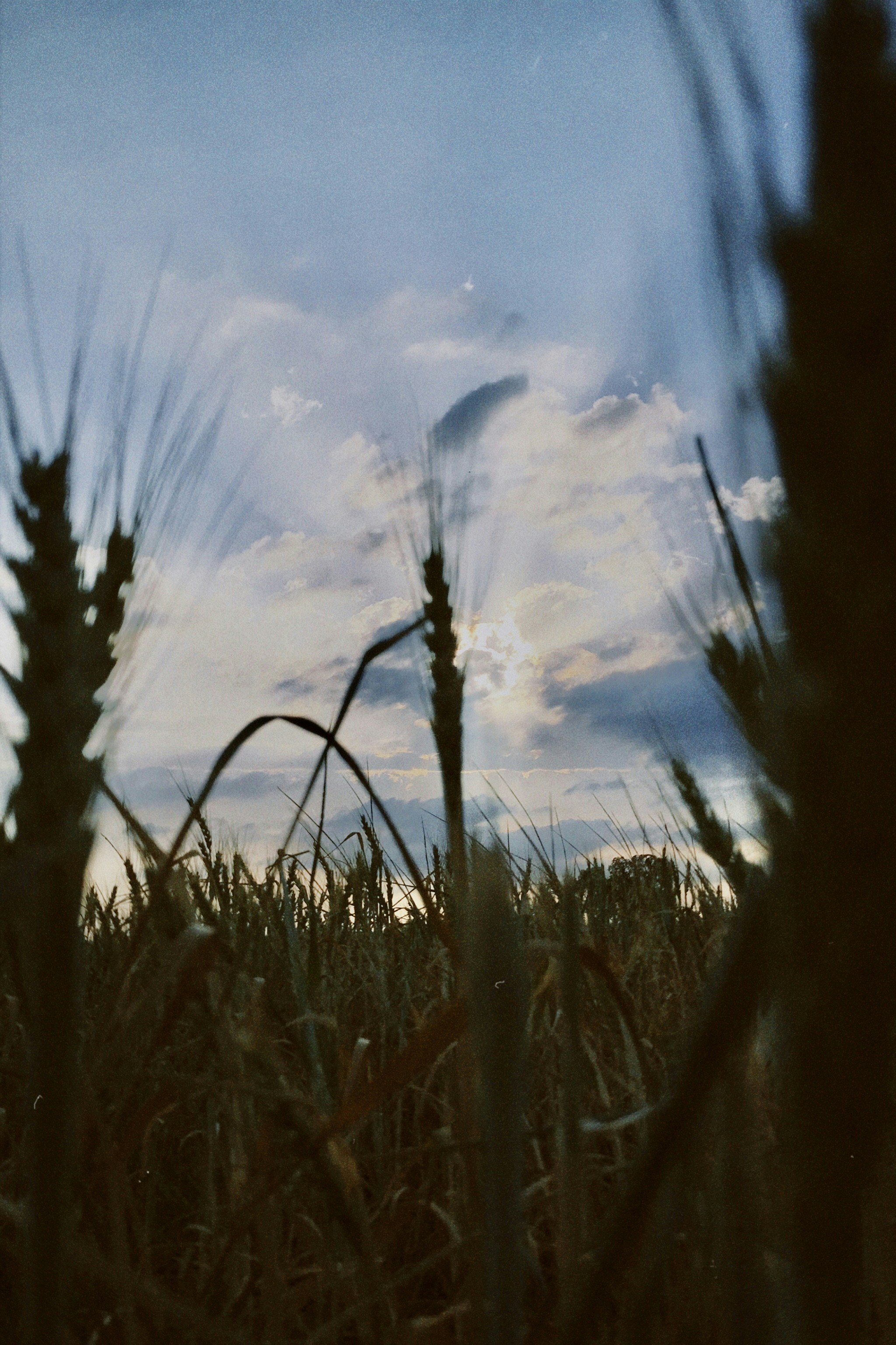 Photo by bahloulihamza