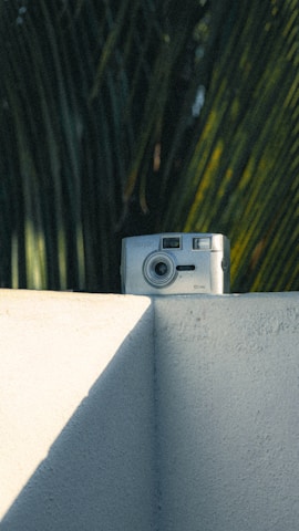 A vintage camera is positioned on the edge of a white concrete wall, surrounded by the lush backdrop of large green palm leaves. The scene is bathed in warm, natural sunlight, creating sharp shadows and highlighting the texture of the wall.