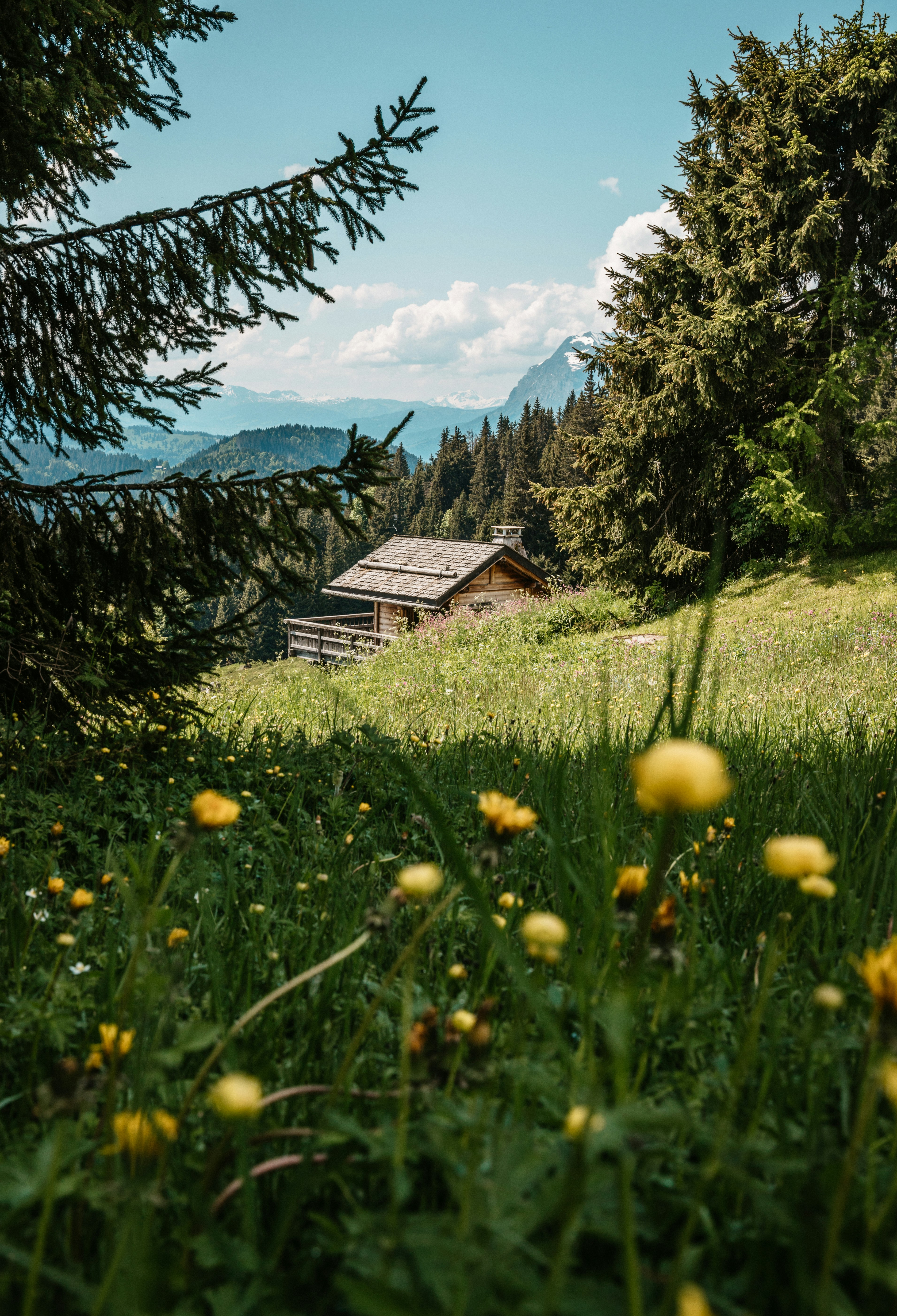 a house in the middle of a field with yellow flowers