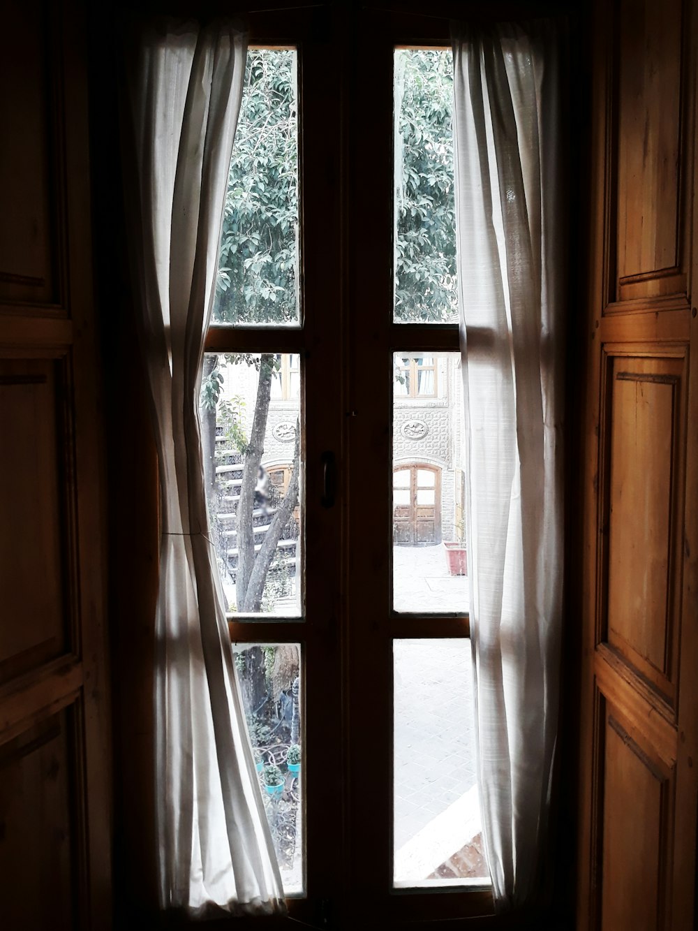 Blick auf einen Baum durch ein Fenster