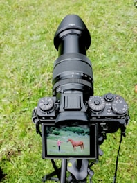 A digital camera on a tripod is pointed downward, displaying an image on its screen of a person standing in a grassy field interacting with a horse. The background shows greenery and possibly distant trees, indicating an outdoor setting.