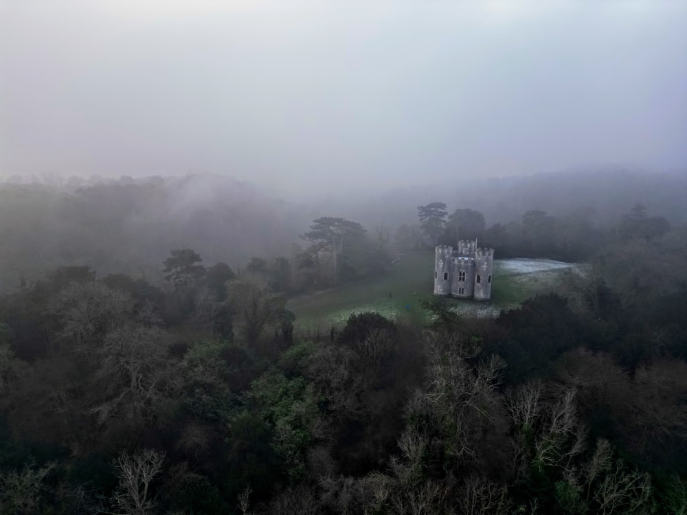 a castle in the middle of a foggy forest