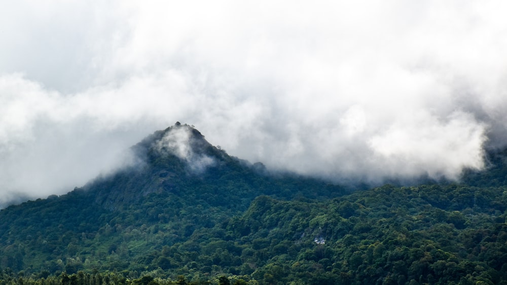 a mountain covered in clouds and trees on a cloudy day
