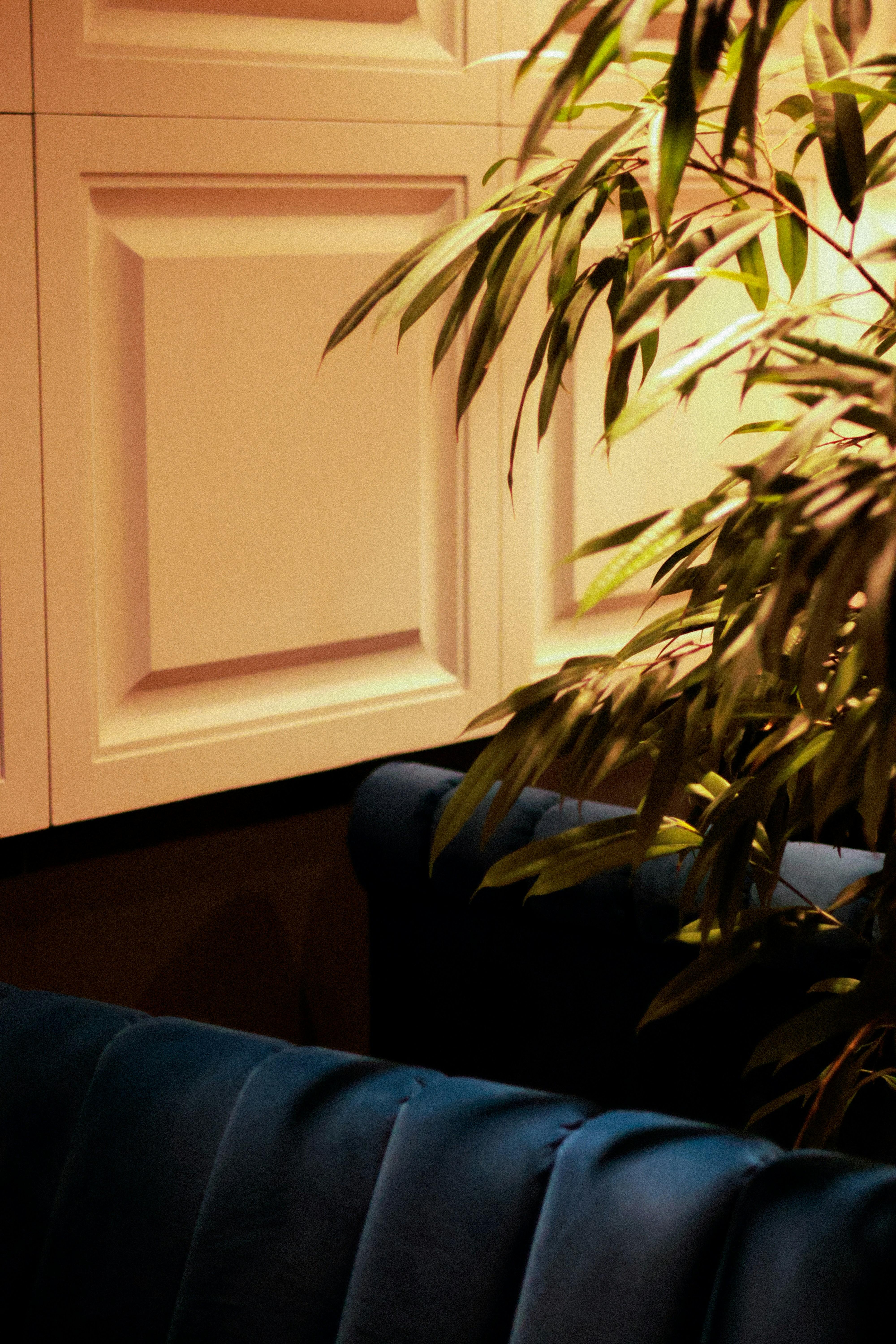 Photo by anyutakejbalo