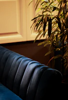 A plush velvet tufted loveseat in a warm, inviting living room setting.