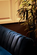 A deep blue velvet couch with a textured, vertical tufted design is positioned next to a lush green plant. The warm lighting adds a cozy and inviting atmosphere to the scene, highlighting the contrast between the rich blue fabric and the vibrant green leaves.