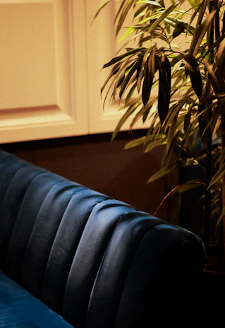 Stylish home decoration items on a navy blue velvet surface, highlighted by soft golden light.