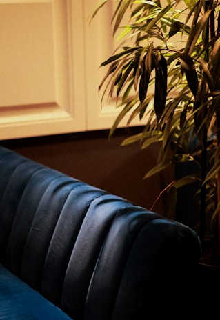 A deep blue velvet couch with a textured, vertical tufted design is positioned next to a lush green plant. The warm lighting adds a cozy and inviting atmosphere to the scene, highlighting the contrast between the rich blue fabric and the vibrant green leaves.