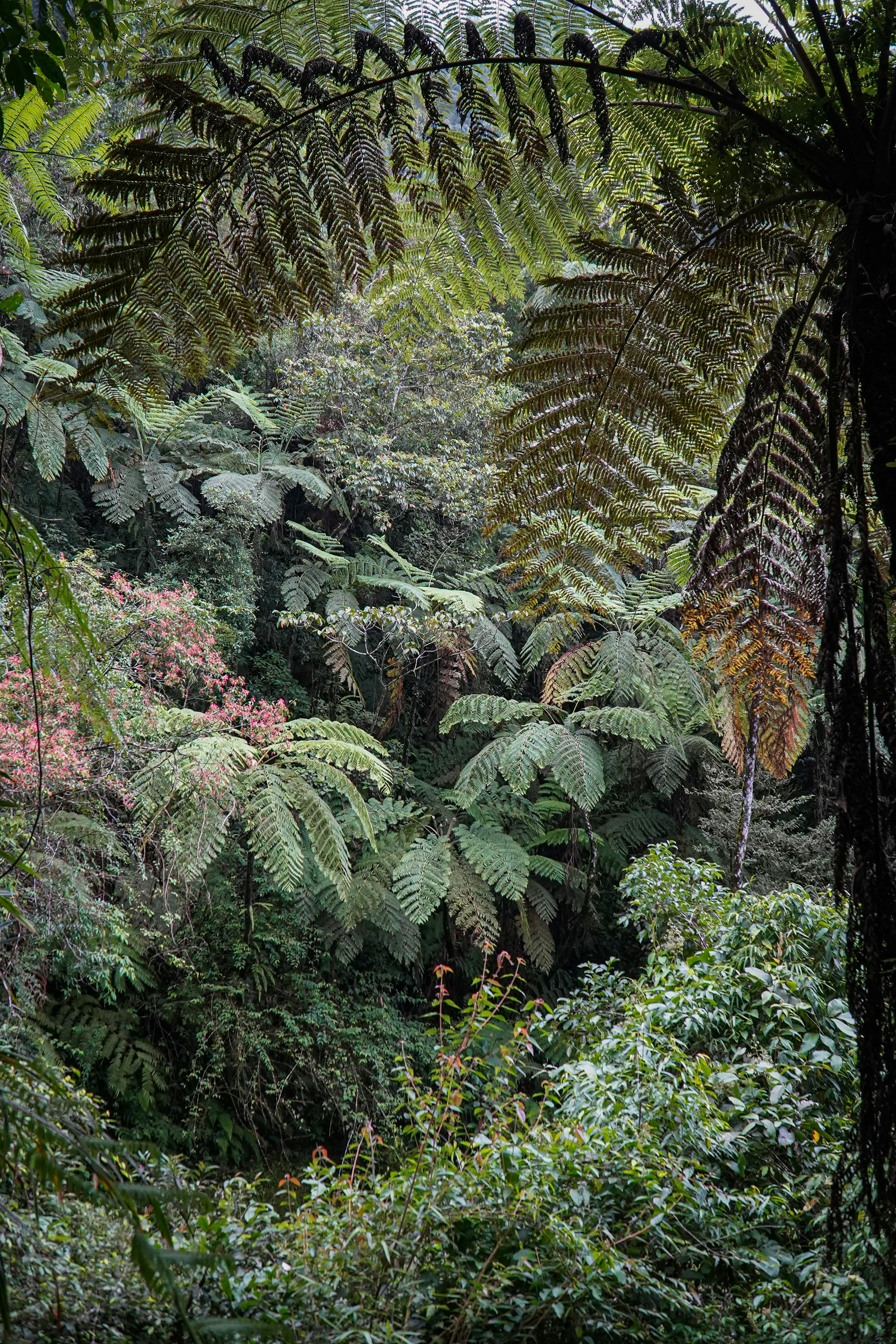 Photo by framesforyourheart