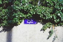 A street sign reading 'Rue de Beaulieu' is mounted on a beige wall, partially surrounded by lush green ivy. The sign is dark blue with white text and is centered in the image. The sunlight casts shadows on parts of the wall, enhancing the contrast between the vibrant green leaves and the neutral-toned wall.
