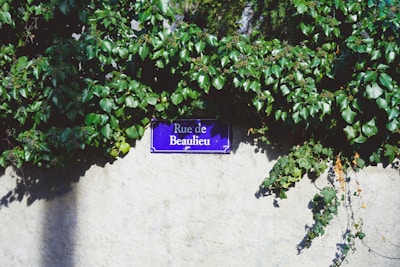 A street sign reading 'Rue de Beaulieu' is mounted on a beige wall, partially surrounded by lush green ivy. The sign is dark blue with white text and is centered in the image. The sunlight casts shadows on parts of the wall, enhancing the contrast between the vibrant green leaves and the neutral-toned wall.