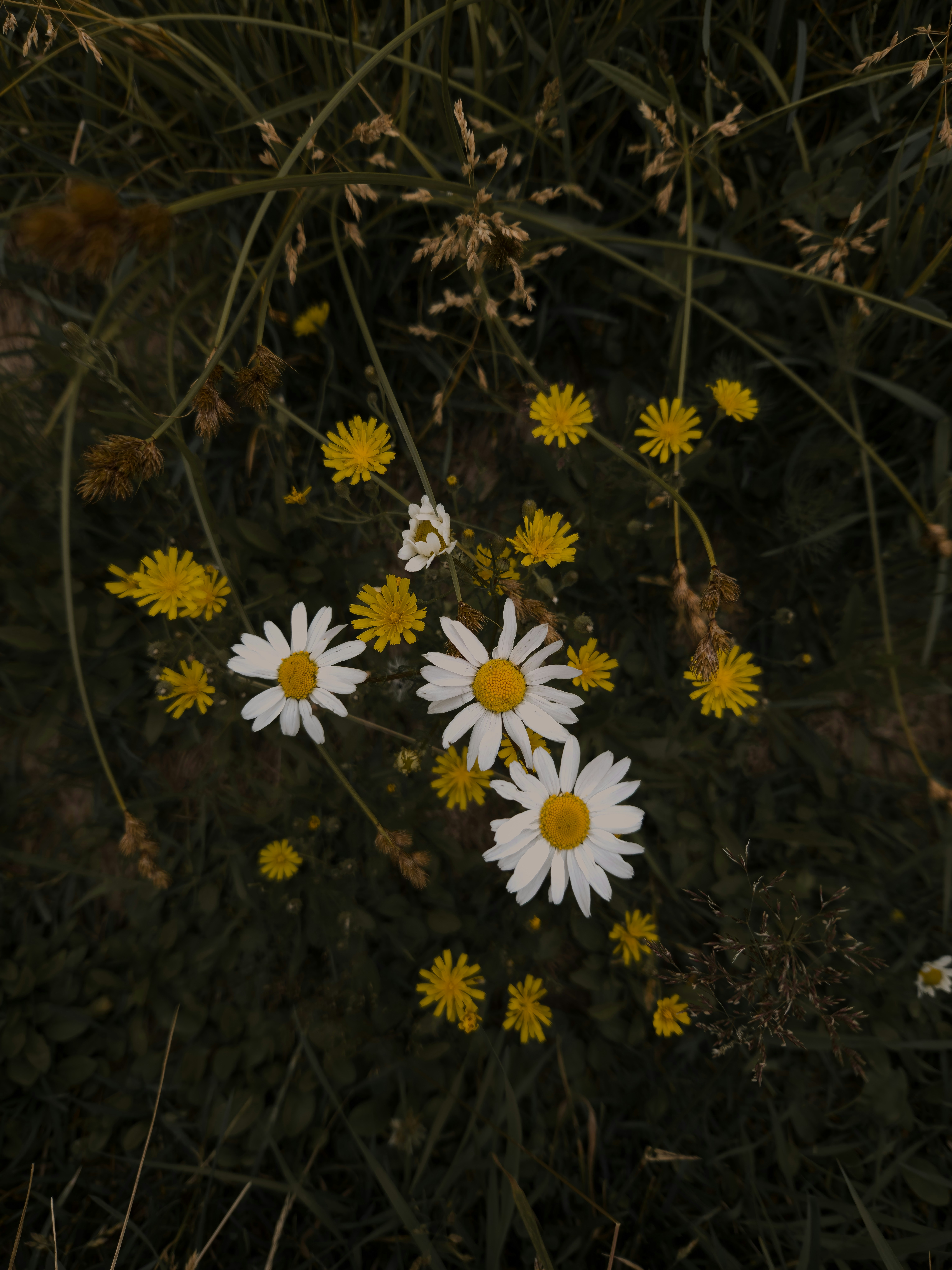 Photo by julies_v