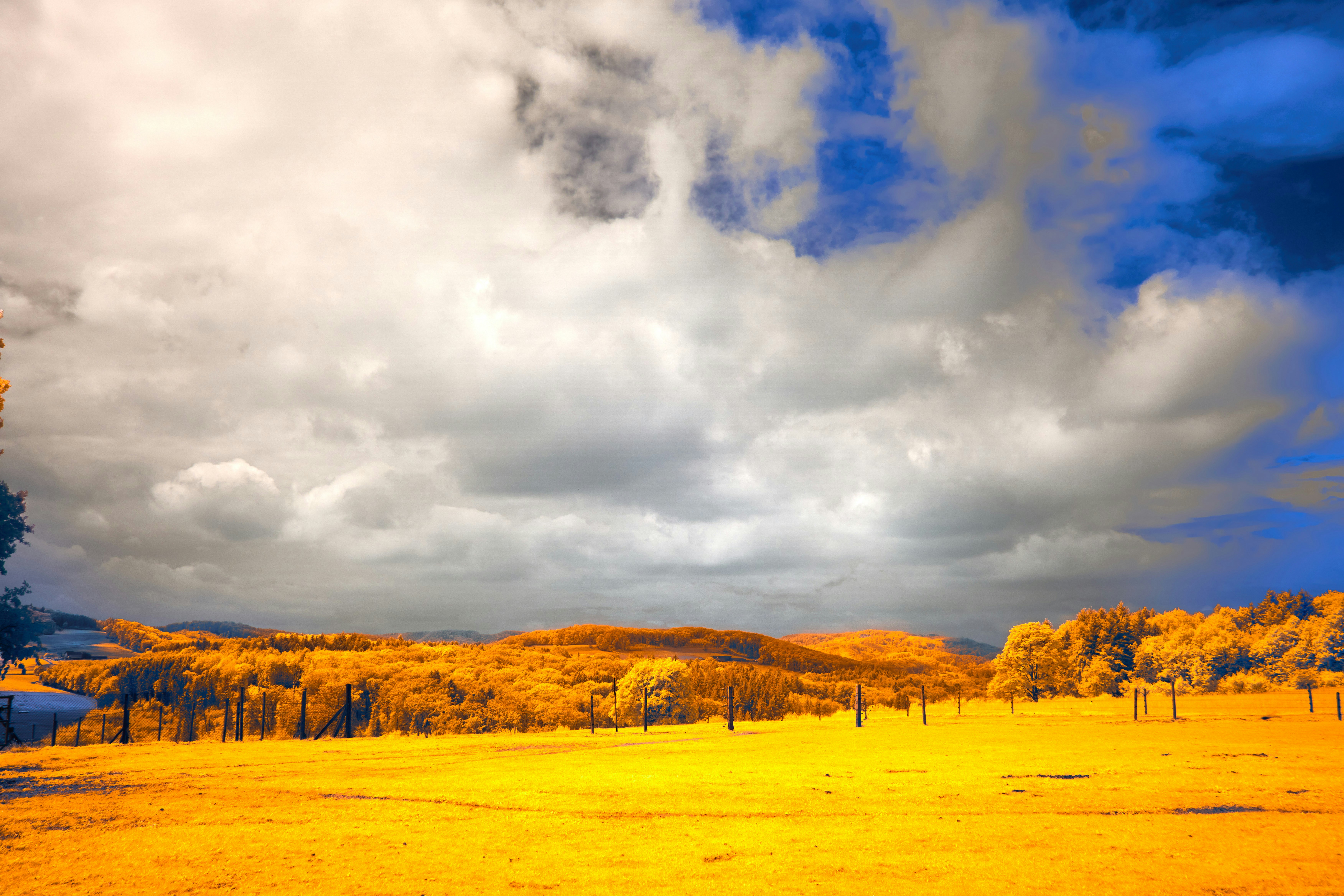 Photo by wolfgang_hasselmann