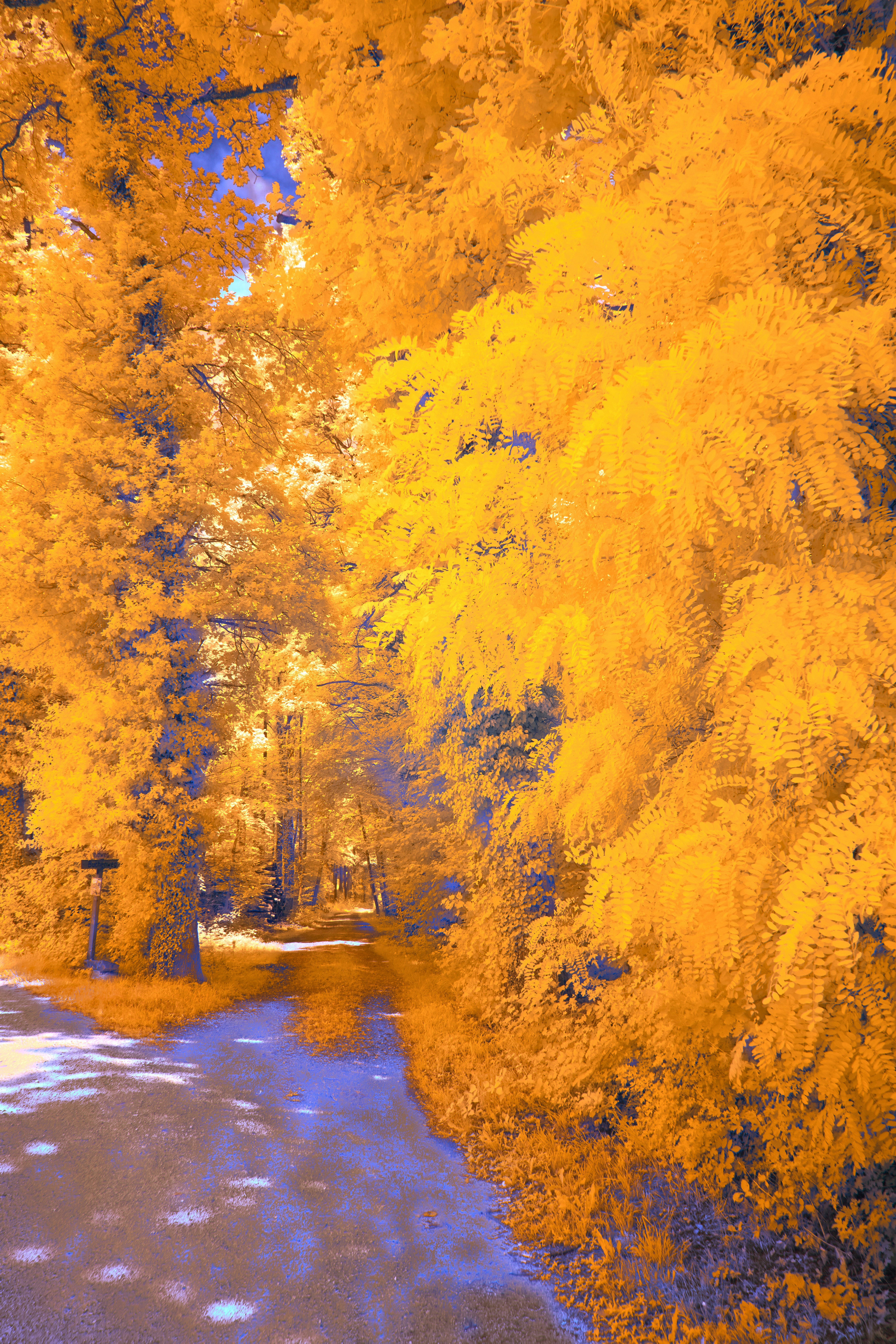 Photo by wolfgang_hasselmann