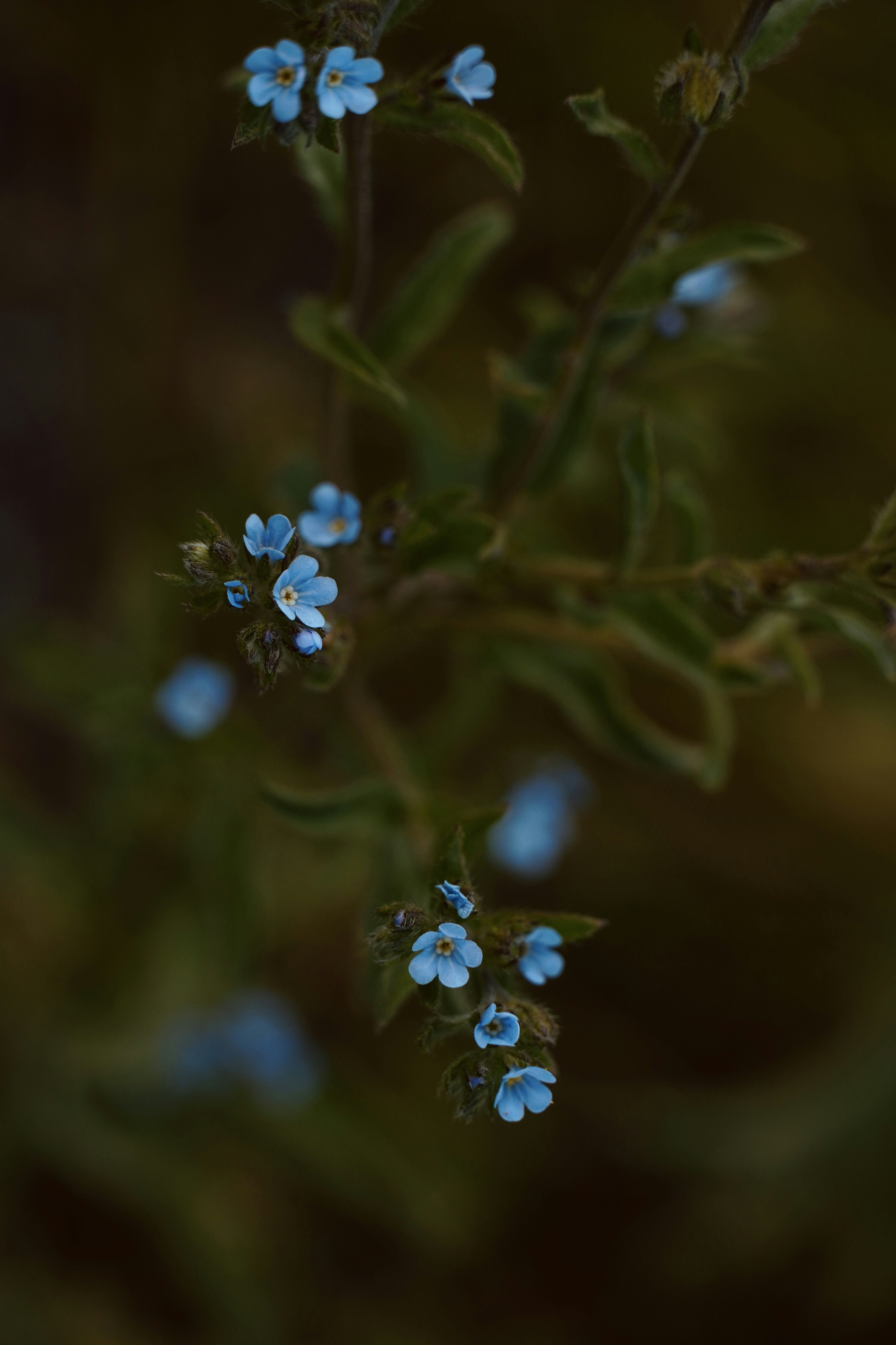 Photo by meinayin