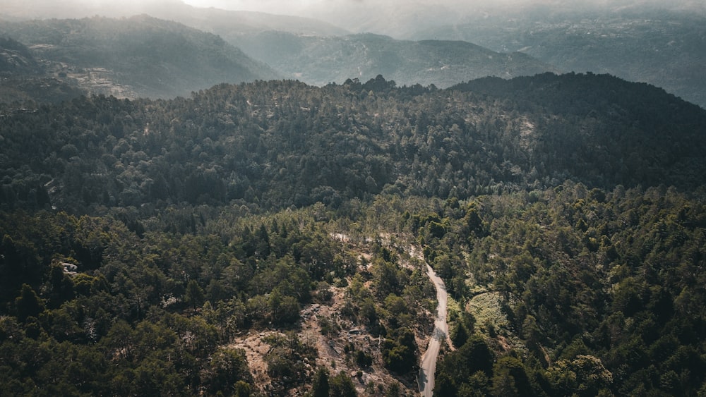 an aerial view of a forested area with mountains in the background