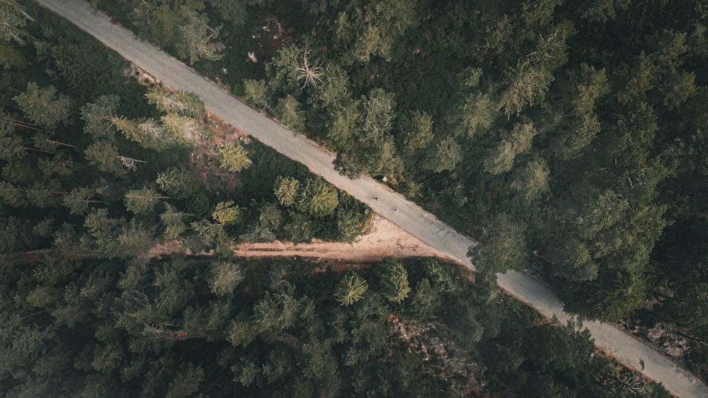 an aerial view of a road in the middle of a forest