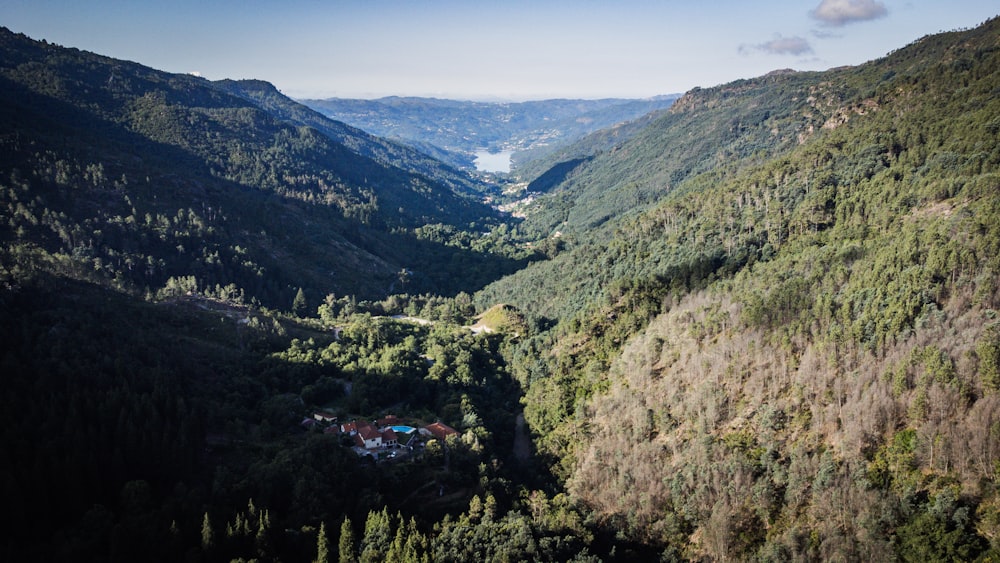 a scenic view of a valley surrounded by trees