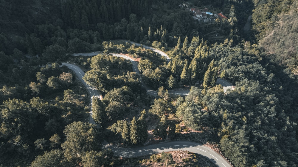 an aerial view of a winding road surrounded by trees