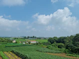 Scenic view of sustainable farming landscapes under a clear blue sky in Africa.