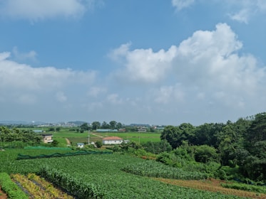 A scenic view of lush green farmland with clear blue skies, showcasing available plots.