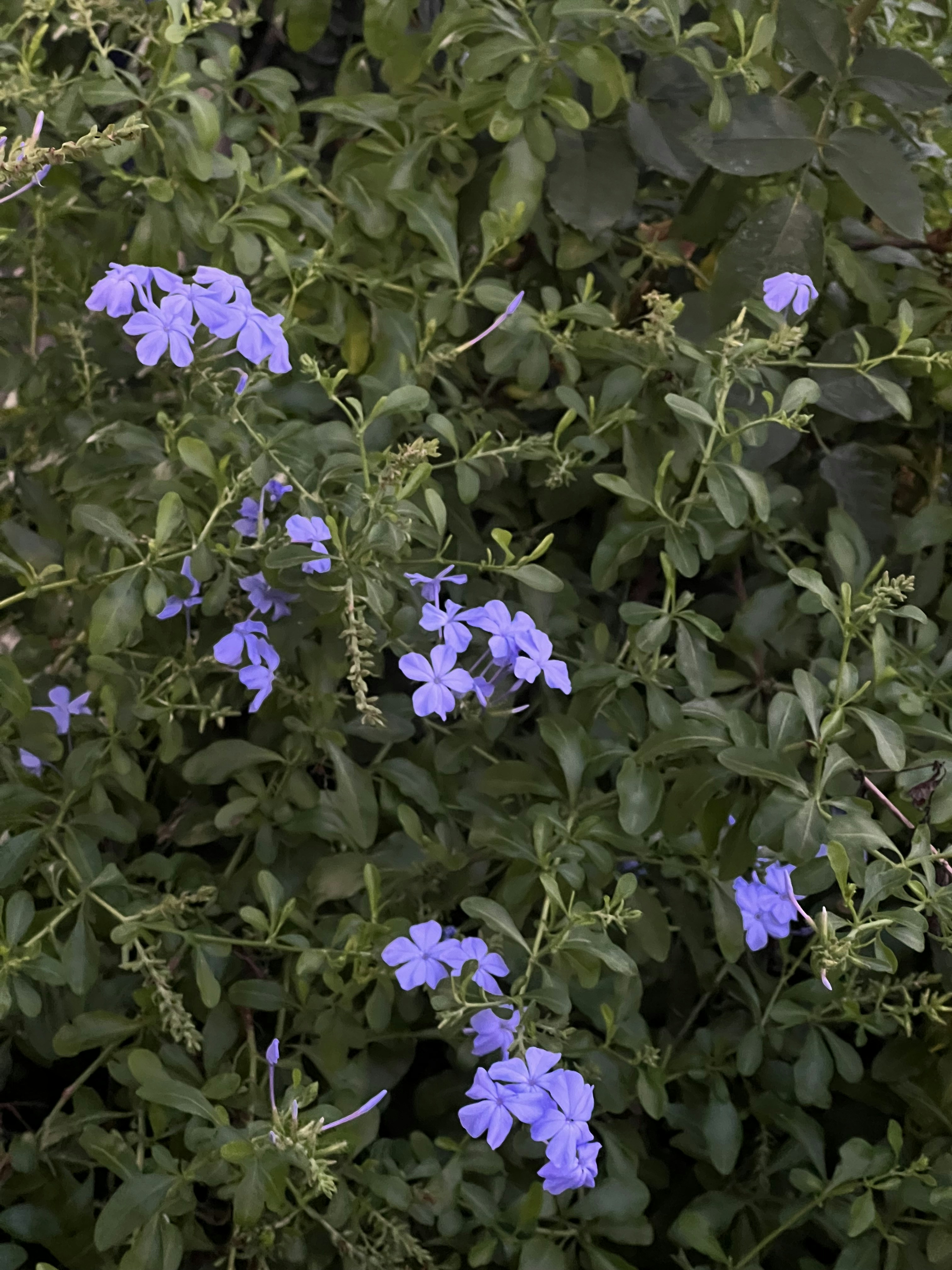 Photo by 19phototomato