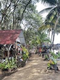 A welcoming entrance to the hotel with tropical plants and a sandy path.