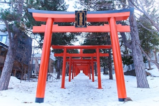 High-quality photo of the iconic Fushimi Inari Shrine with its vibrant red torii gates winding up the mountain.