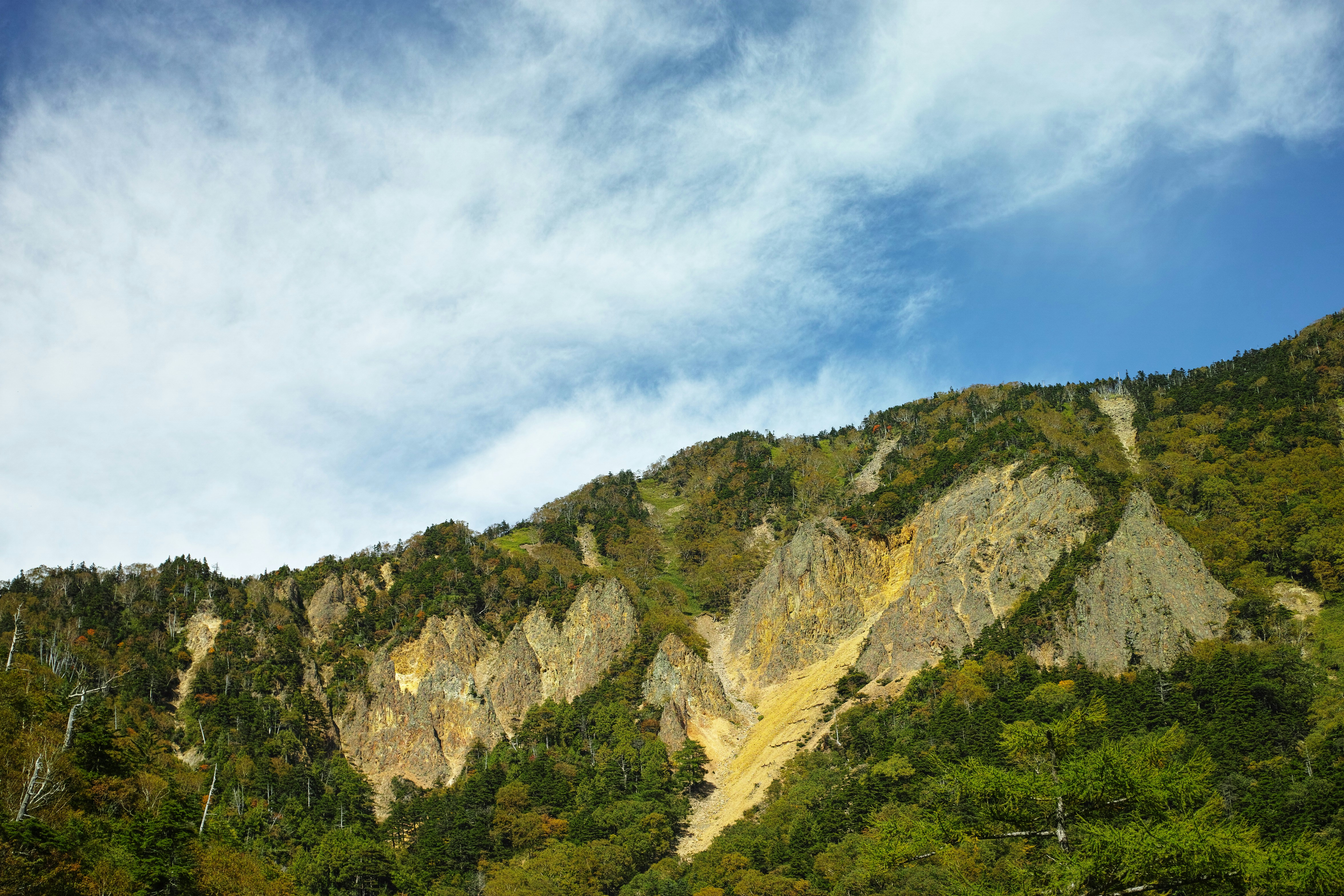 Photo by da_shika_photo