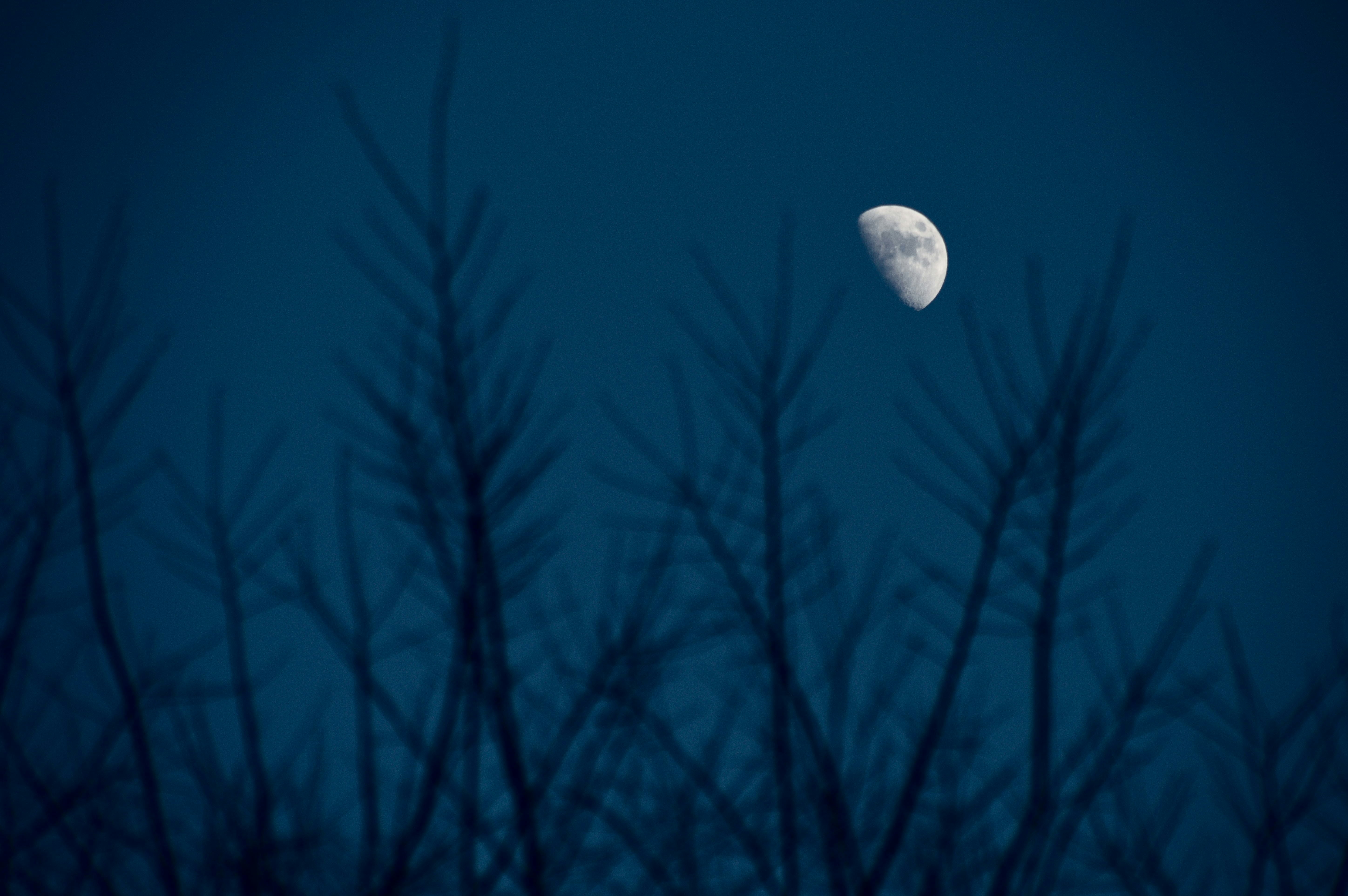 Photo by da_shika_photo