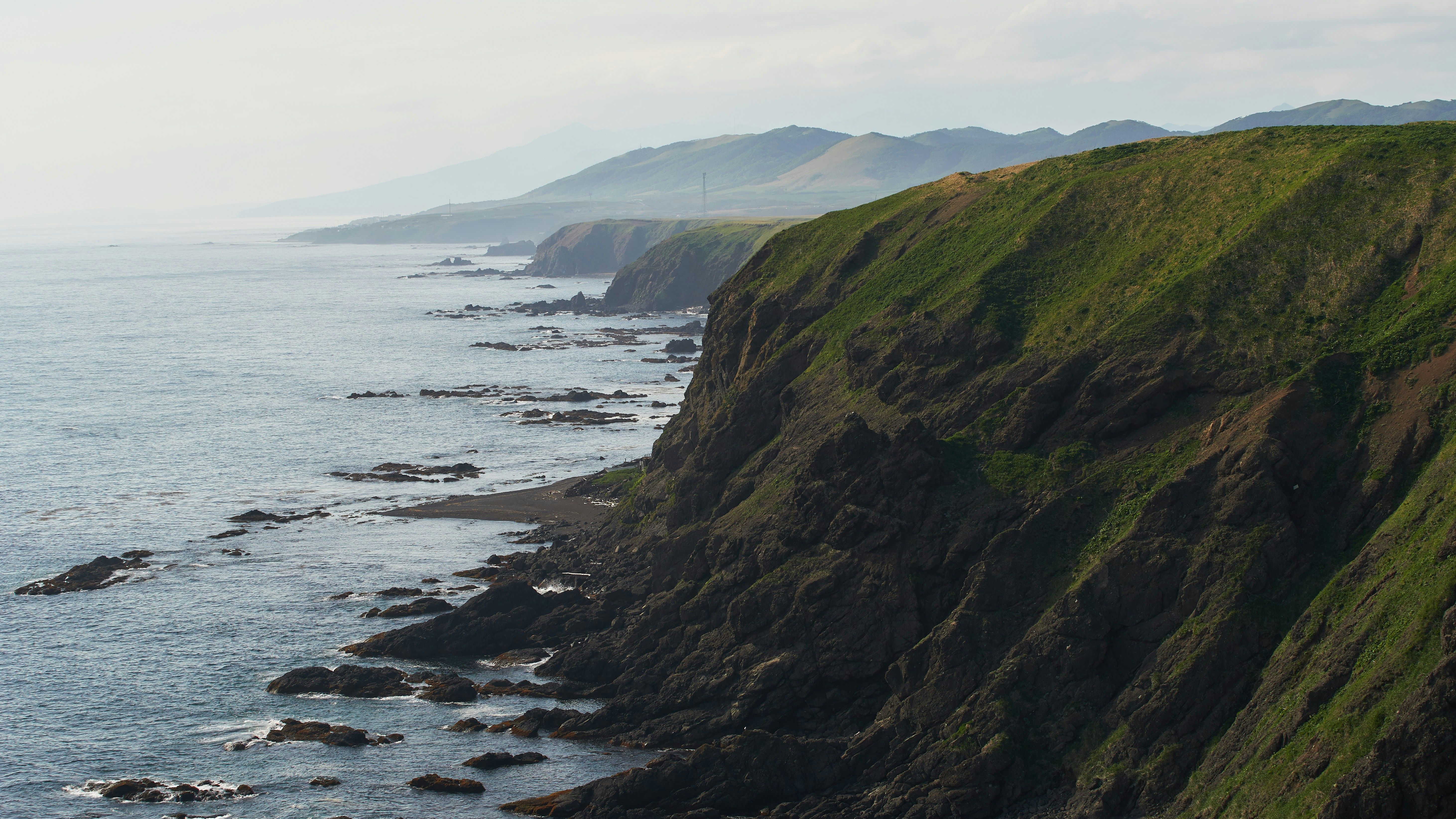 Photo by da_shika_photo