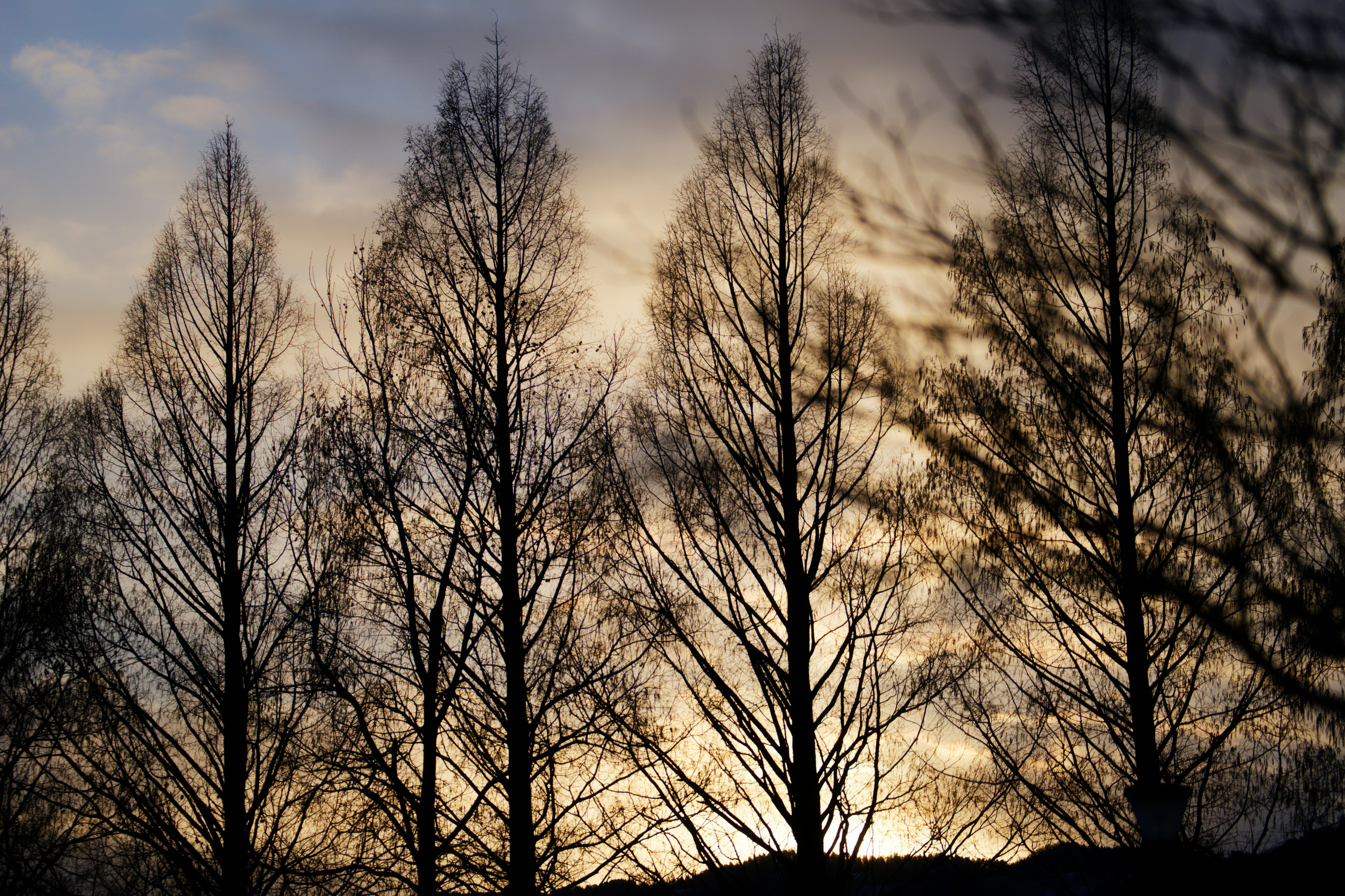 Photo by da_shika_photo