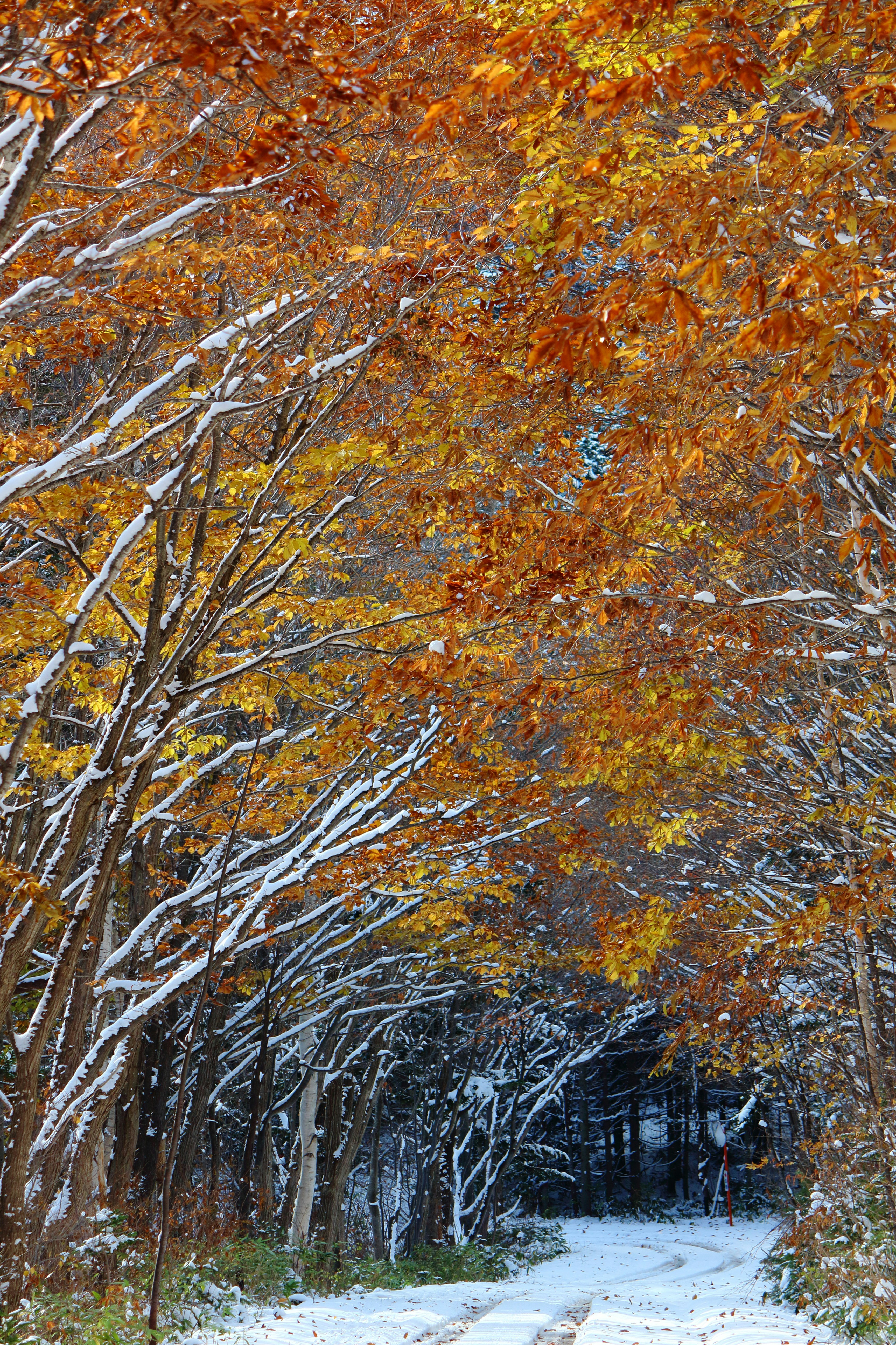 Photo by da_shika_photo